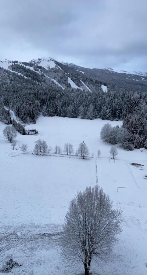 Appartement 50M2 Vue Imprenable Avec Garage Draps Et Serviettes Compris Villard-de-Lans Kültér fotó